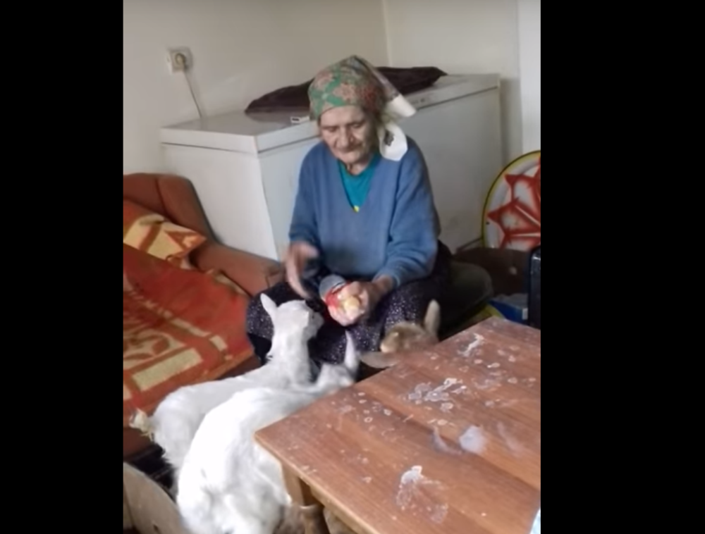 Baba pružala utočište serijsom ubici, sakrila Gačića od policije koja joj je pretresala kuću! (VIDEO)