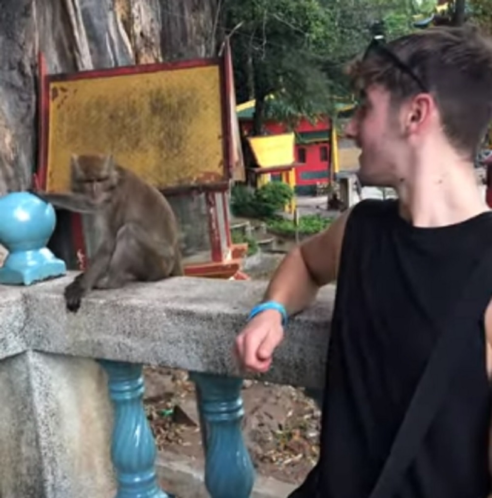 Hteo je da se slika sa majmunom, a onda je usledio ŽESTOK SE*S! (VIDEO 18+)