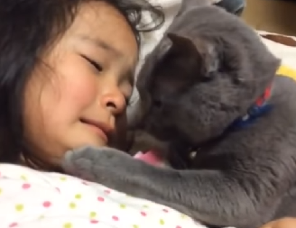 Pogledajte kako su tugovale najbolje drugarice i kojoj je bilo teže