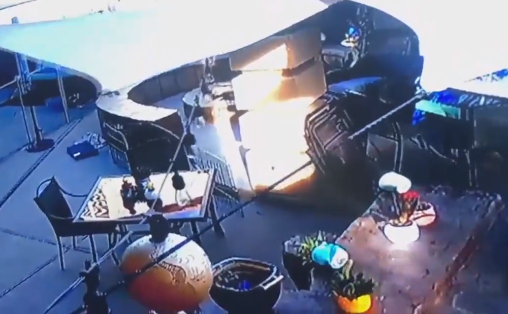 Mirno popodne se pretvorilo u borbu na ŽIVOT I SMRT, mala gazdarica krenula je u spasavanje svog ljubimca! (VIDEO)