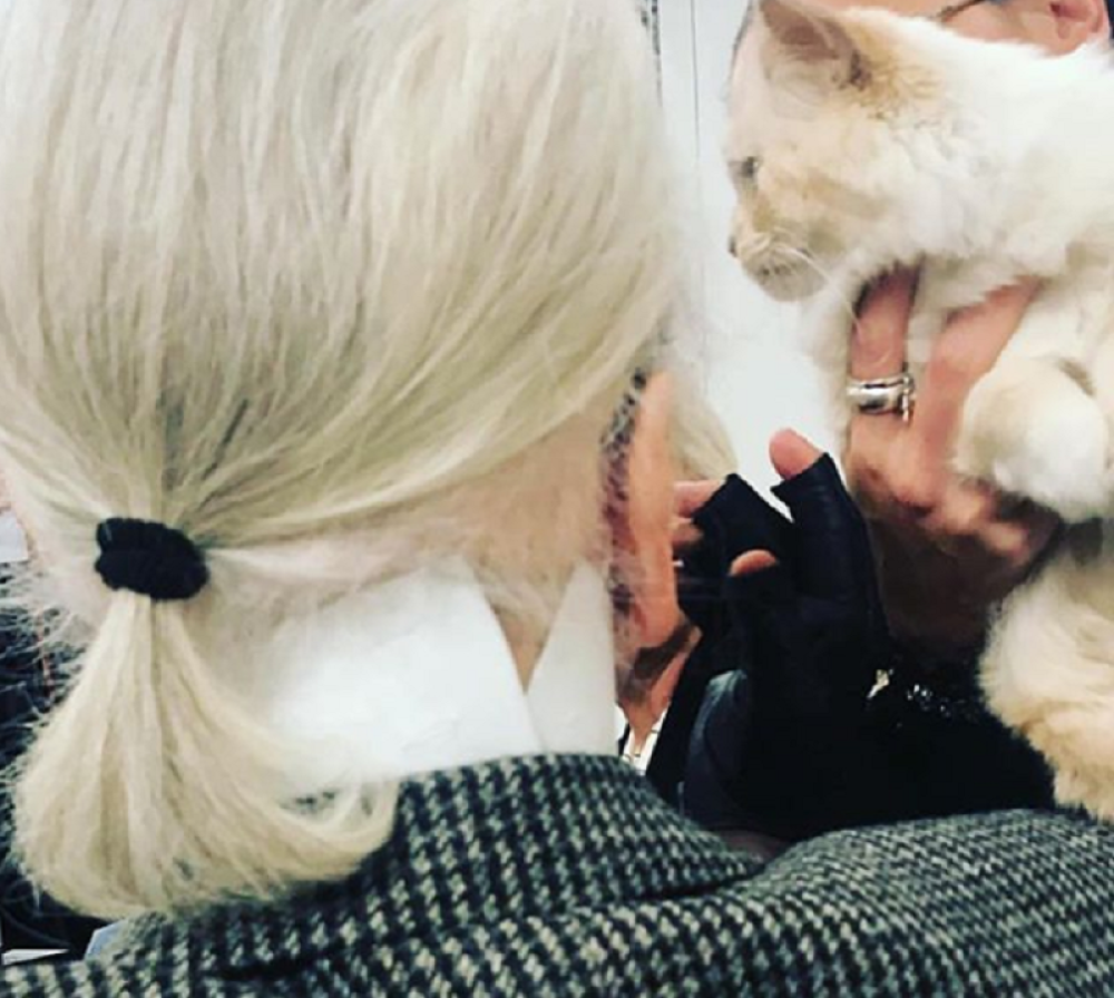 Preslatko stvorenje tuguje za svojim gazdom, kad vidite njenu fotografiju srce će vam se slediti! (FOTO)