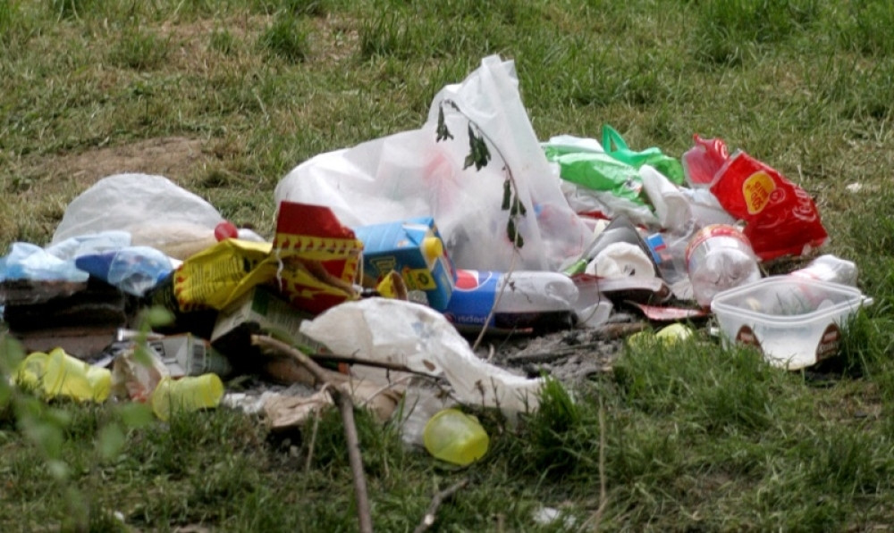 Ana je našla smeće na Fruškoj gori pa ga poštom vratila vlasniku! Među otpacima bio je i račun za struju...