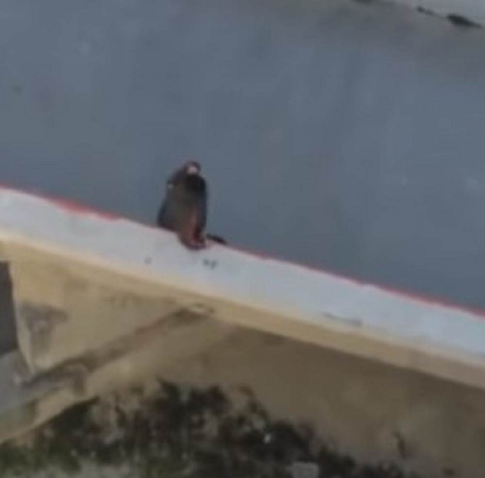 Vetar nosio ženu po mostu! Svakim izlaskom na ulice Splita RIZIKUJE SE ŽIVOT! (VIDEO)