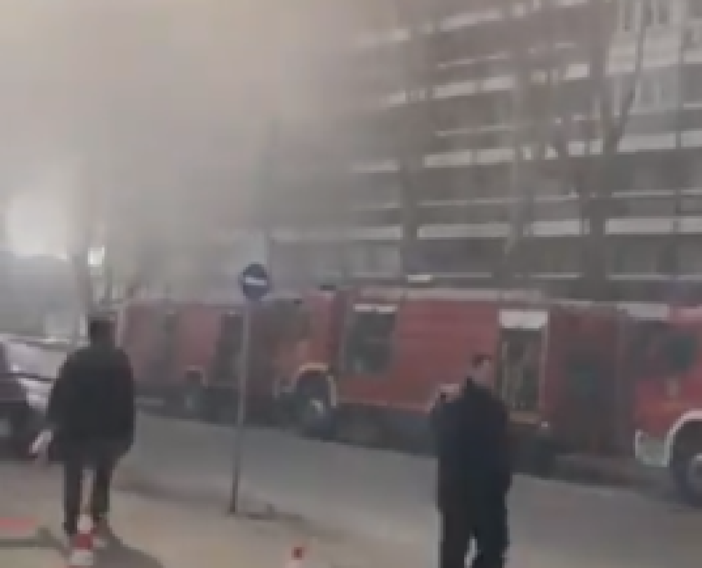 "Komšije pričaju da su deca palila neke papiriće. Kada se vatra razgorela..." Scene kakvih se plašite ceo život (VIDEO)