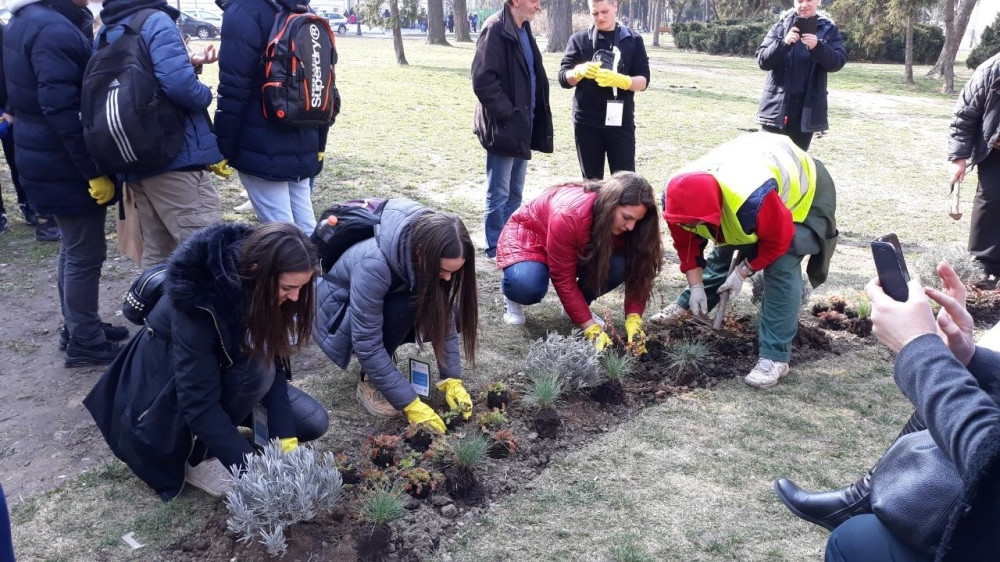 Preko 35 miliona dinara izdvojeno za pošumljavanje