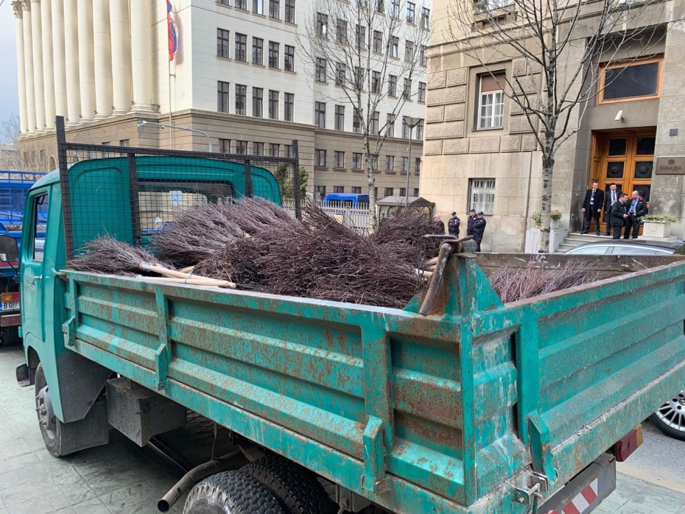 Vozači blokirali centar Beograda! Svima je za oko zapao KAMION SA METLAMA! Otkrivamo kakvu ulogu one igraju
