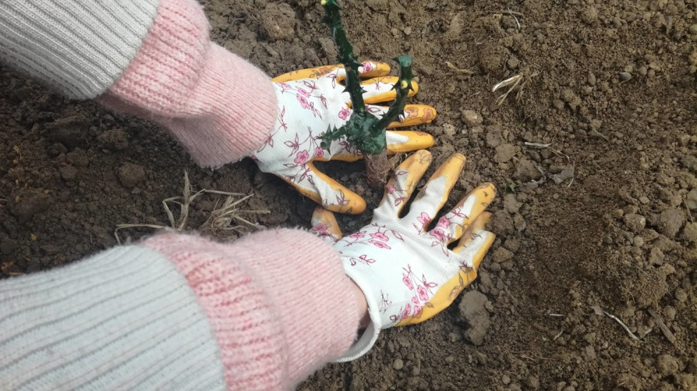 Prelepa akcija dolazi nam iz Inđije