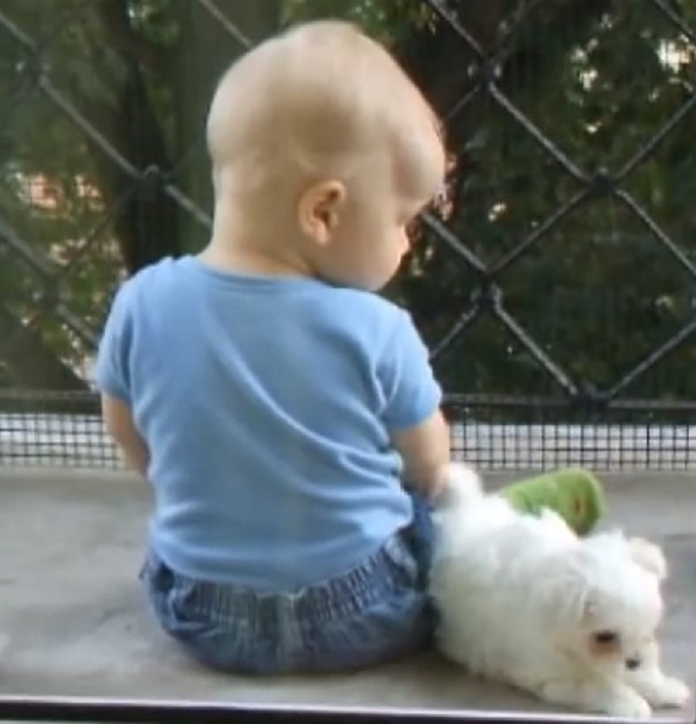 Zastrašujući detalji prebijanja dečaka (1)! Majka i očuh se iživljavali nad DETENCETOM! Čupali mu uši i pesnicama ga udarali u glavu!