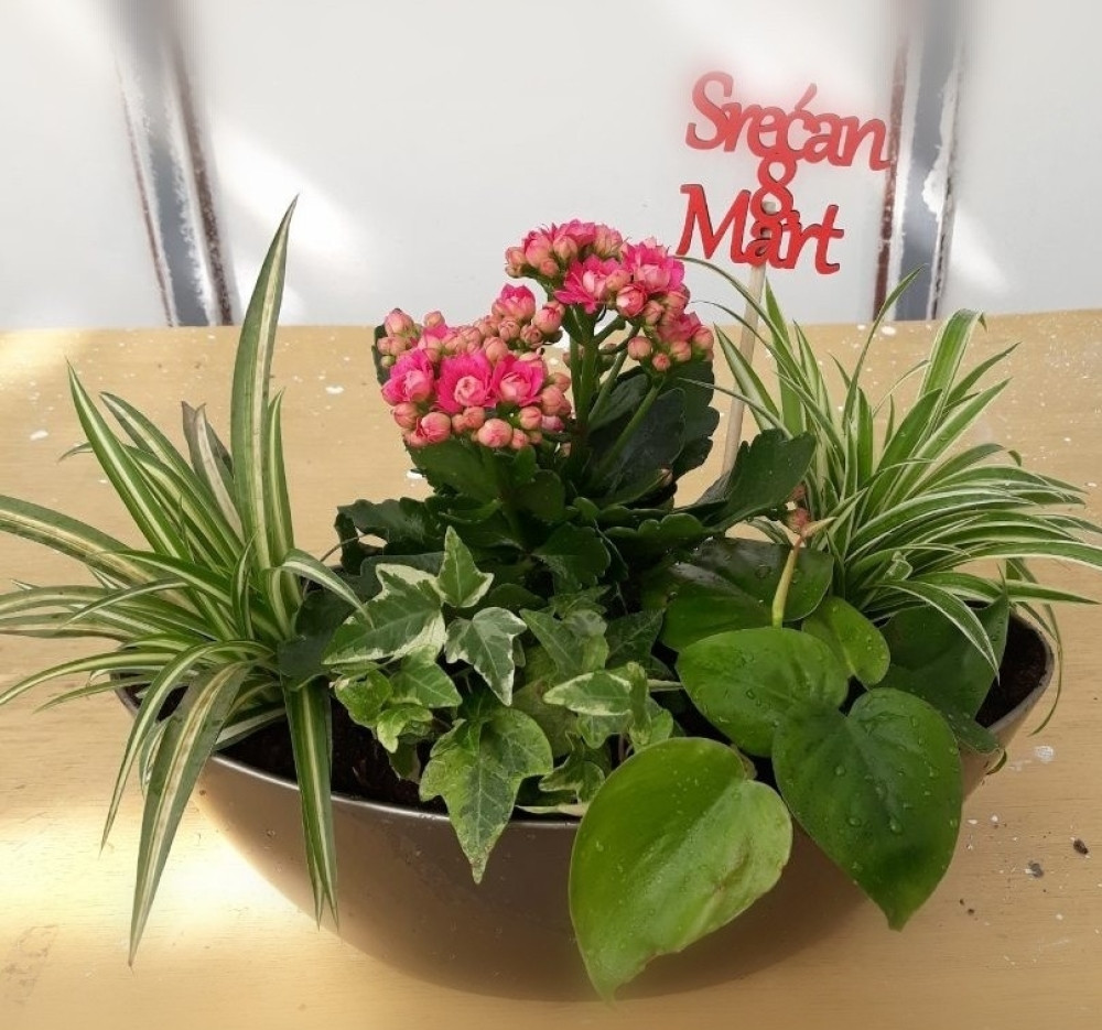 Evo od kada se slavi 8. mart i šta simbolizuje cveće koje poklanjamo