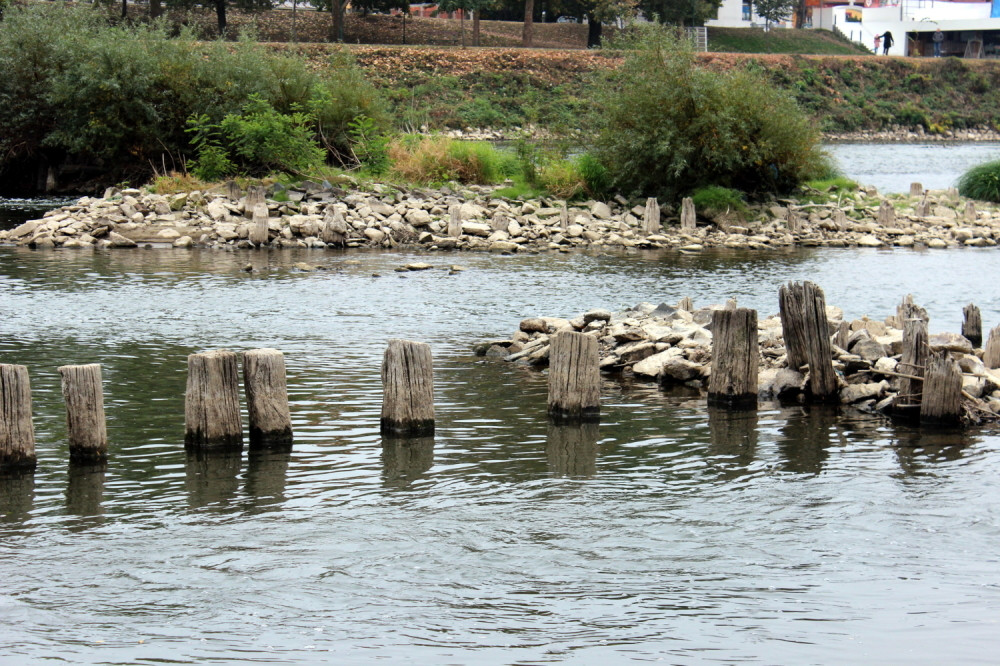 Ribar ulovio ŽIVO ČUDOVIŠTE staro 100 godina, svi misle da je u pitanju neka vrsta genetske mutacije! (FOTO)
