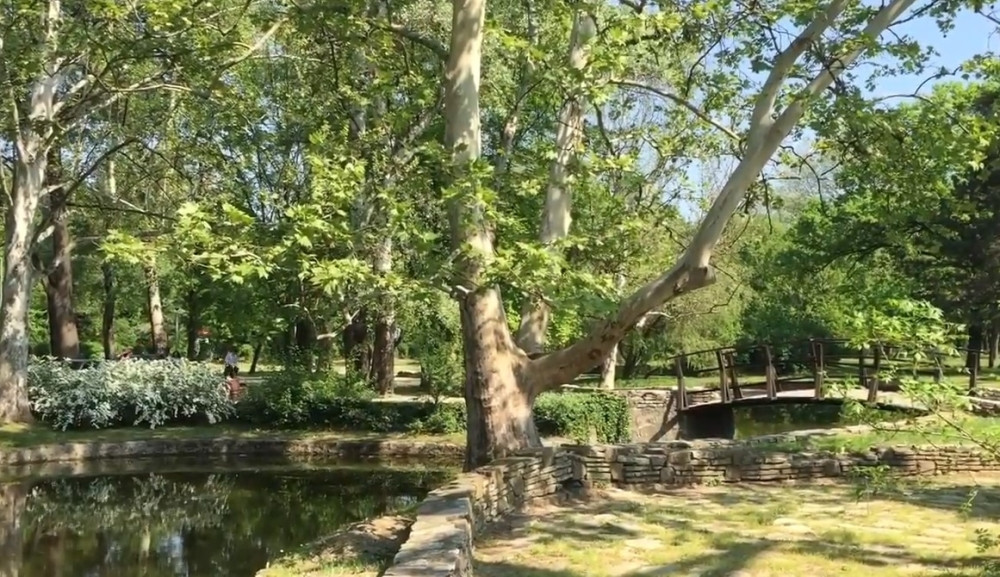 Telo starijeg muškarca pronađeno u potoku! Identitet čoveka nepoznat