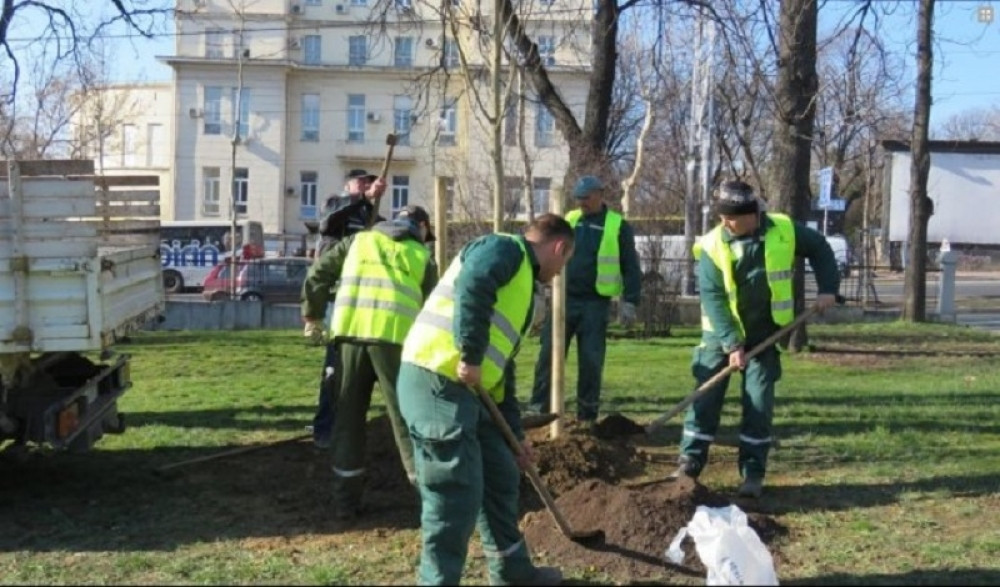 Zahvaljujući njima grad je čist, a parkovi uređeni