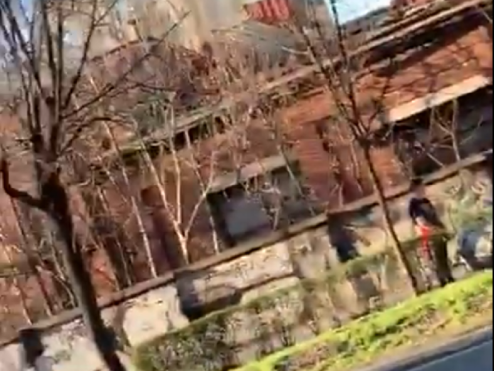 Krenuli da lome Beograd, pa se poskidali nasred ulice i počeli da PI*AJU! (VIDEO)