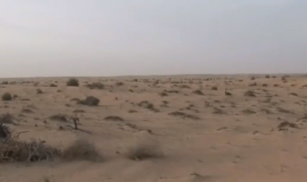 Petogodišnje dete preživelo dan u pustinji: "Bilo mi je hladno, loše sam spavao, naslonjen na kamen"