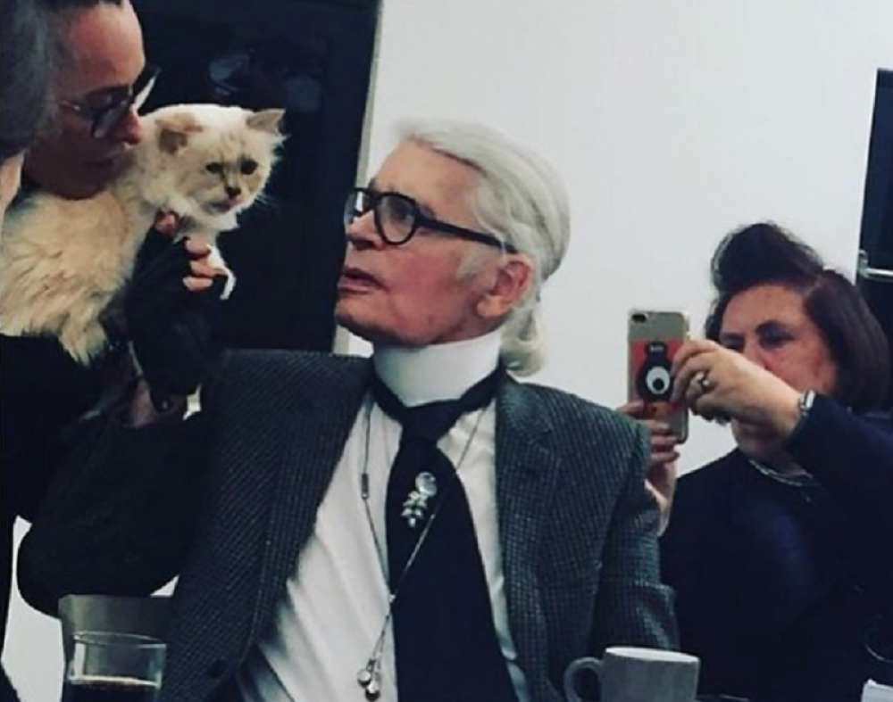 Mala Čupet pokojnog Karla Legerfilda ima pune šape para, a sad je otišla i korak dalje!