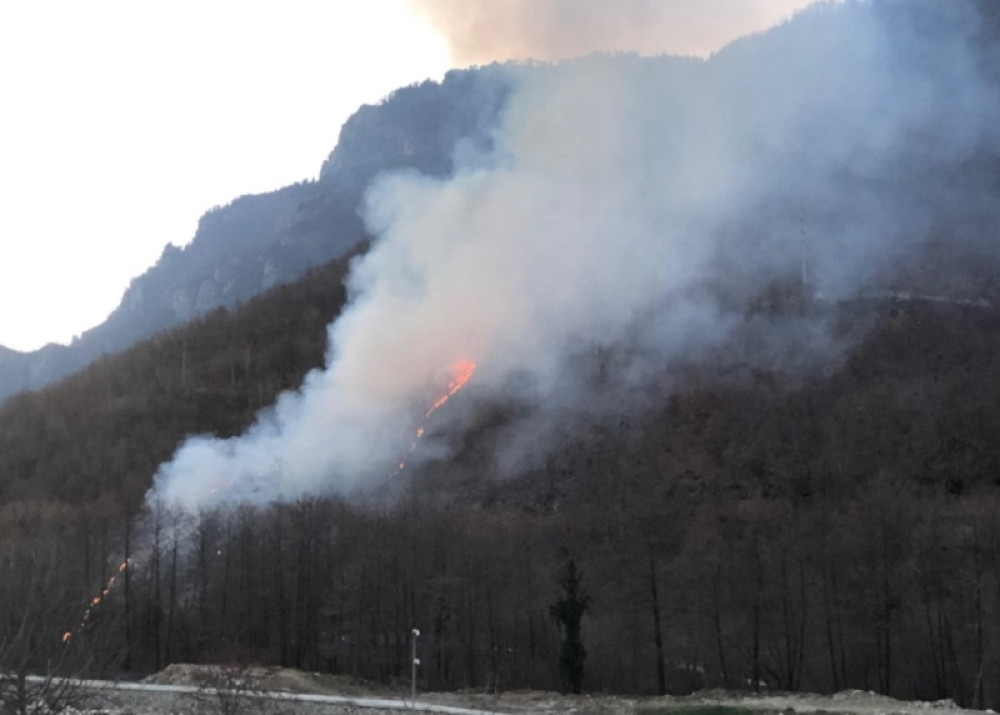 Ugašen šumski požar u blizini Visokih Dečana (FOTO)