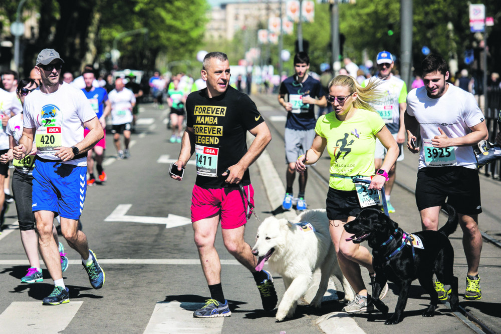 Promocija odgovornog i humanog odnosa prema životinjama!