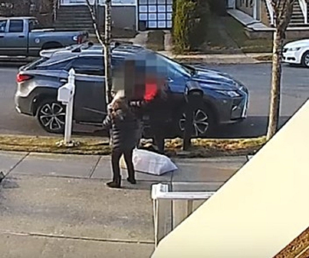 Pit bul stravično rastrgao drugog psa, gazda mu nije mogao ništa (UZNEMIRUJUĆ VIDEO)