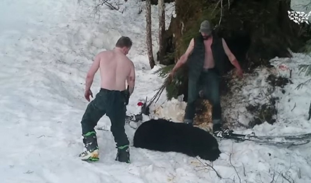 Otac i sin naišli na medveđu jazbinu, pa napravili MASAKR: Nikada nas neće otkriti! (VIDEO)