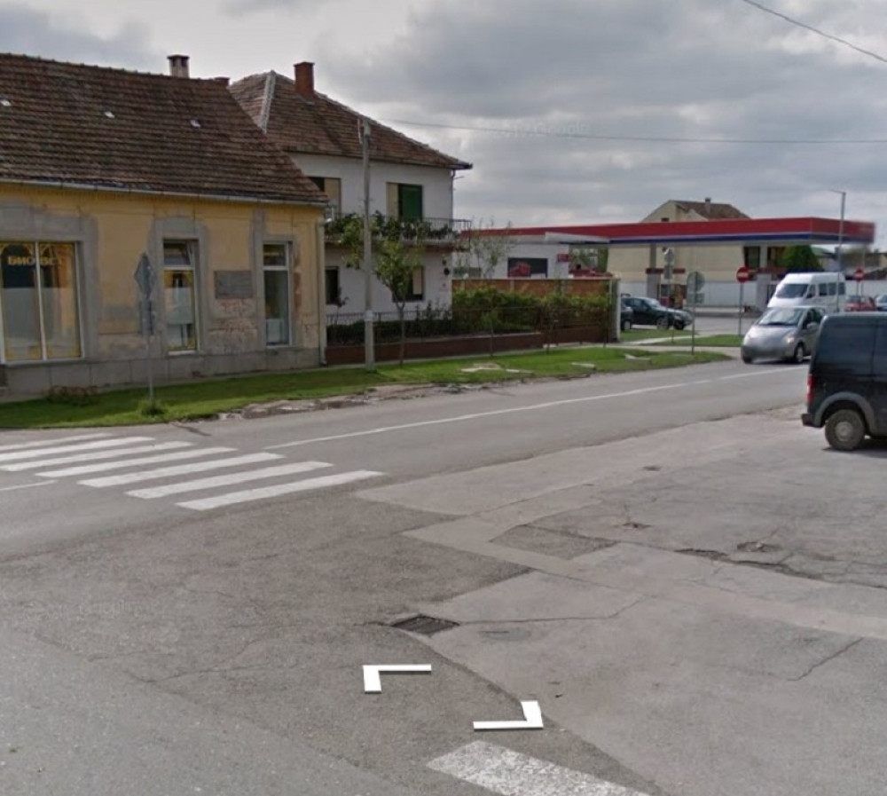 Dalmatinka Lena i njenih 14 beba nešto je najslađe što ćete danas videti (FOTO)