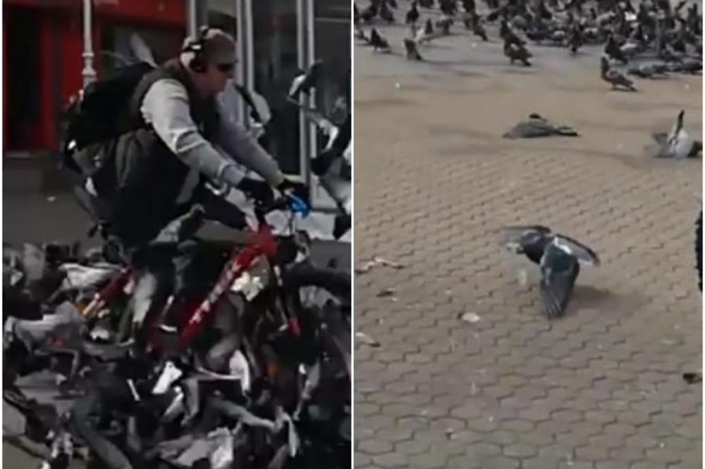 Hrvat se zaleteo biciklom u masu, više ubio, desetine ostavio da bespomoćno leže! (UZNEMIRAVAJUĆI VIDEO)