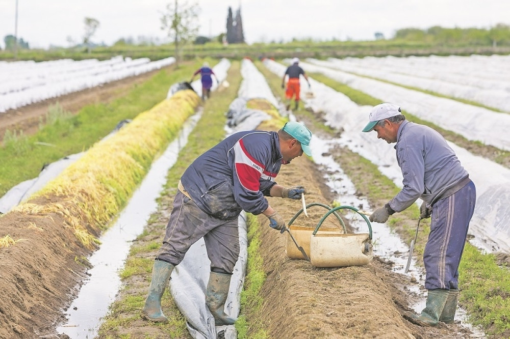 Srbi se masovno javljaju na ovaj oglas! POSAO ZAGARANTOVAN, od vas se očekuje sledeće!