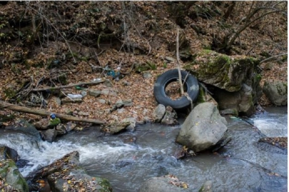 Šta se krije iza protesta protiv mini hidroelektrana? (FOTO+VIDEO)