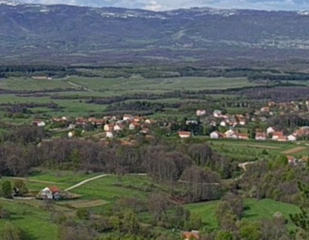 Ivan iz Kruševca posadio ovu biljku, isplatilo se za neverovatno kratko vreme! Sada je jedan od najuspešnijih u poslu!