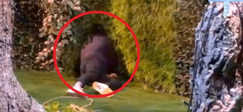 Davidov BEG izazvao POMETNJU! Imao kontakt sa spoljnim svetom?!