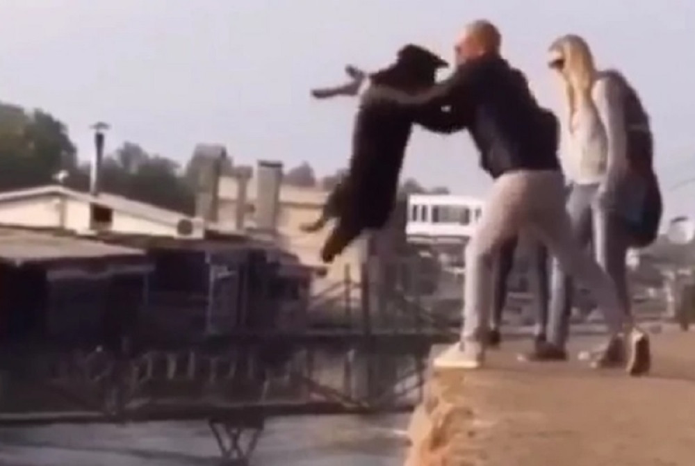 Zabavljali se i smejali dok su psi prestravljeno cvileli! Pogledajte šta su im sve radili (FOTO)