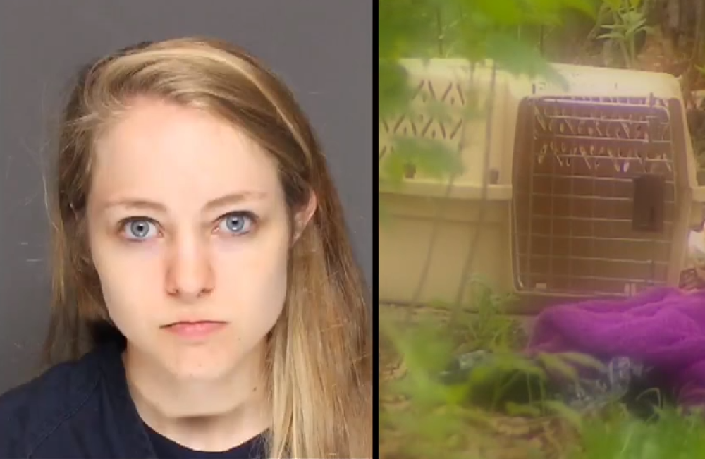 Neke su bile u stanju raspadanja: Pravila se da vodi sklonište za životinje, u objektu pronašli 64 MRTVE MAČKE (VIDEO)