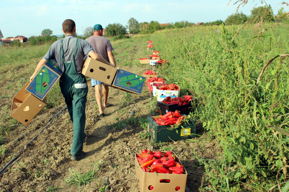 Ovo su poslovi na kojima možete zaraditi i do 80.000 DINARA MESEČNO