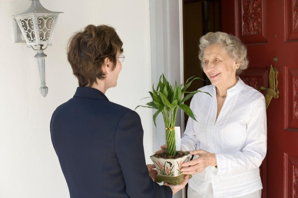 Unesite ove tri biljke u vaš dom, sa njima će ući ljubav, novac, sreća
