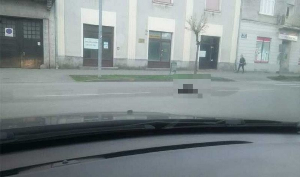 Nesvakidašnji prizor u centru, građani na nogama! Gledaju i ne veruju šta vide! (FOTO)