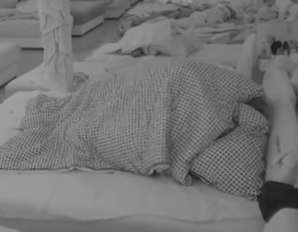 Žestoka AKCIJA Lune i Marka! Celu noć divljali ispod jorgana, TRESLA SE Zadruga