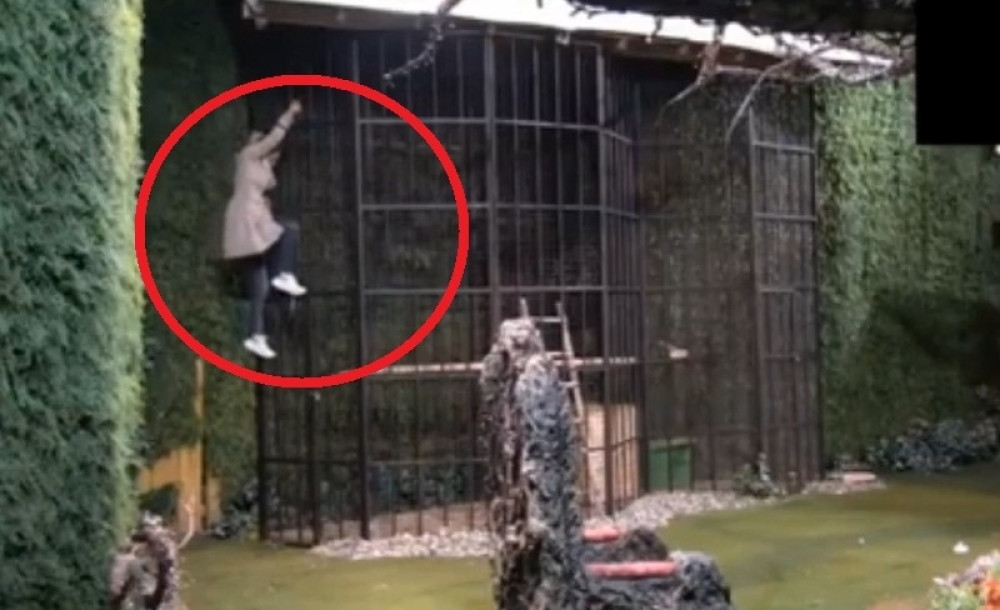 Nadežda podivljala, LOMILA pred sobom pa počela DA BEŽI! Pentra se poput TARZANA i to sve zbog OVE ŽENE! (VIDEO)