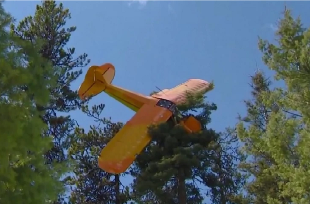 Pokušao je da prinudno spusti avion, ali on je pao na VRH DRVETA, a onda je usledila NESTVARNA AKCIJA (VIDEO)