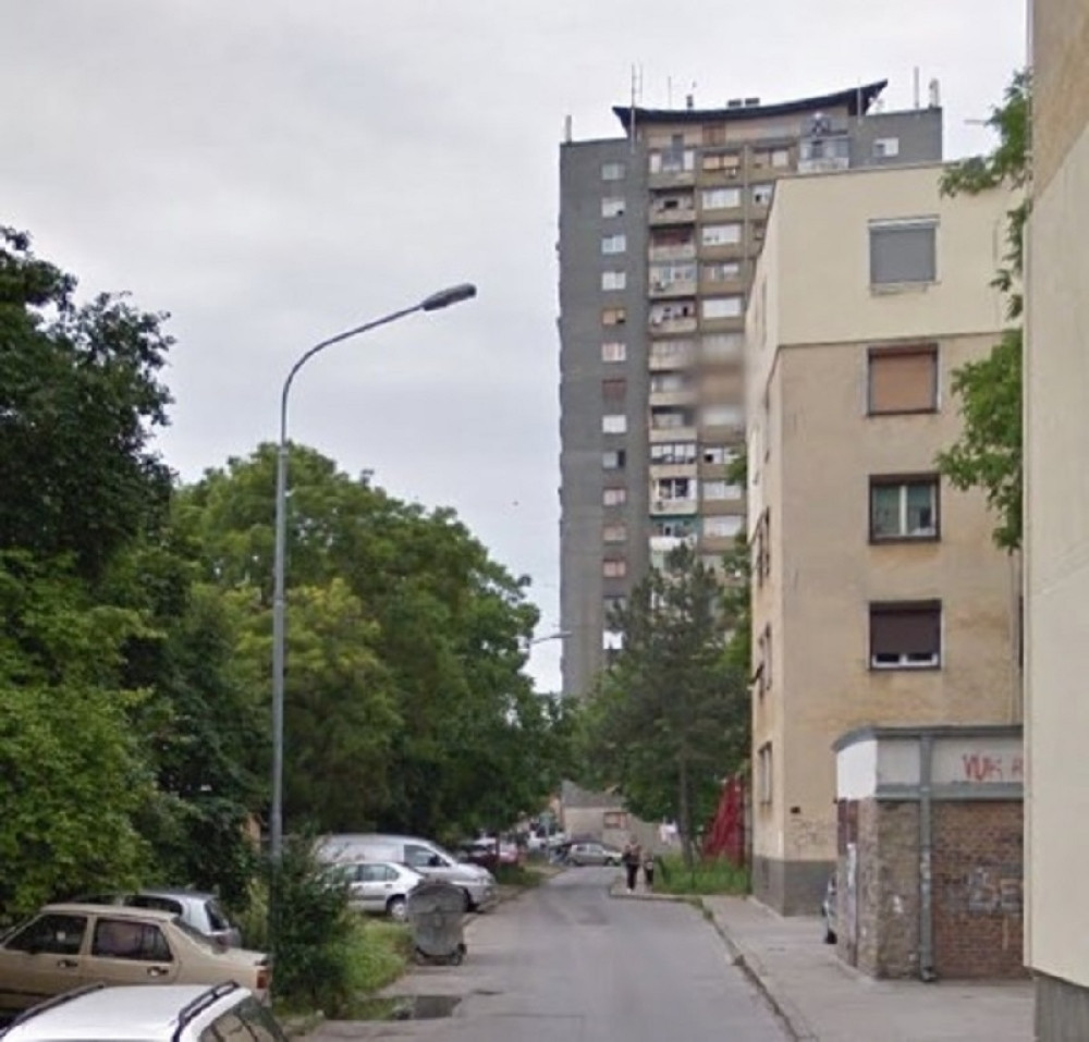 Dva staforda bez kontrole vlasnika nasmrt izujedala psa na Novom Beogradu! Vlasnica nemoćno posmatrala