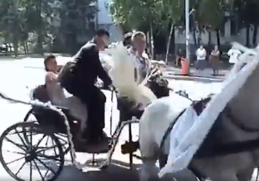Mladenačka vožnja kočijama pošla po zlu! Mladoženja pokušao da sačuva mladu, ali nije uspeo... (VIDEO)