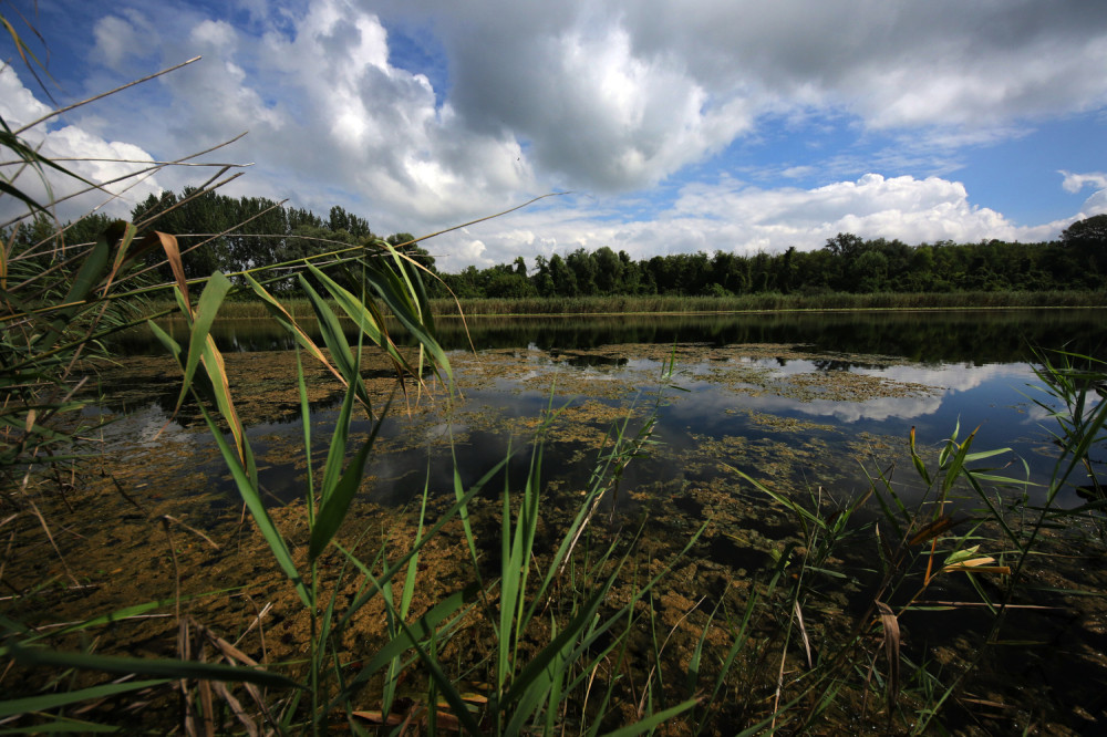 Jedina prašuma u zemlji za koju retko ko zna (FOTO)