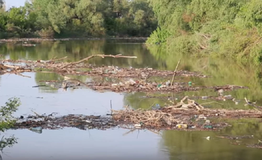 Gomila nadutih nedefinisanih leševa pluta ka Pančevu - sledi ekološka katastrofa!