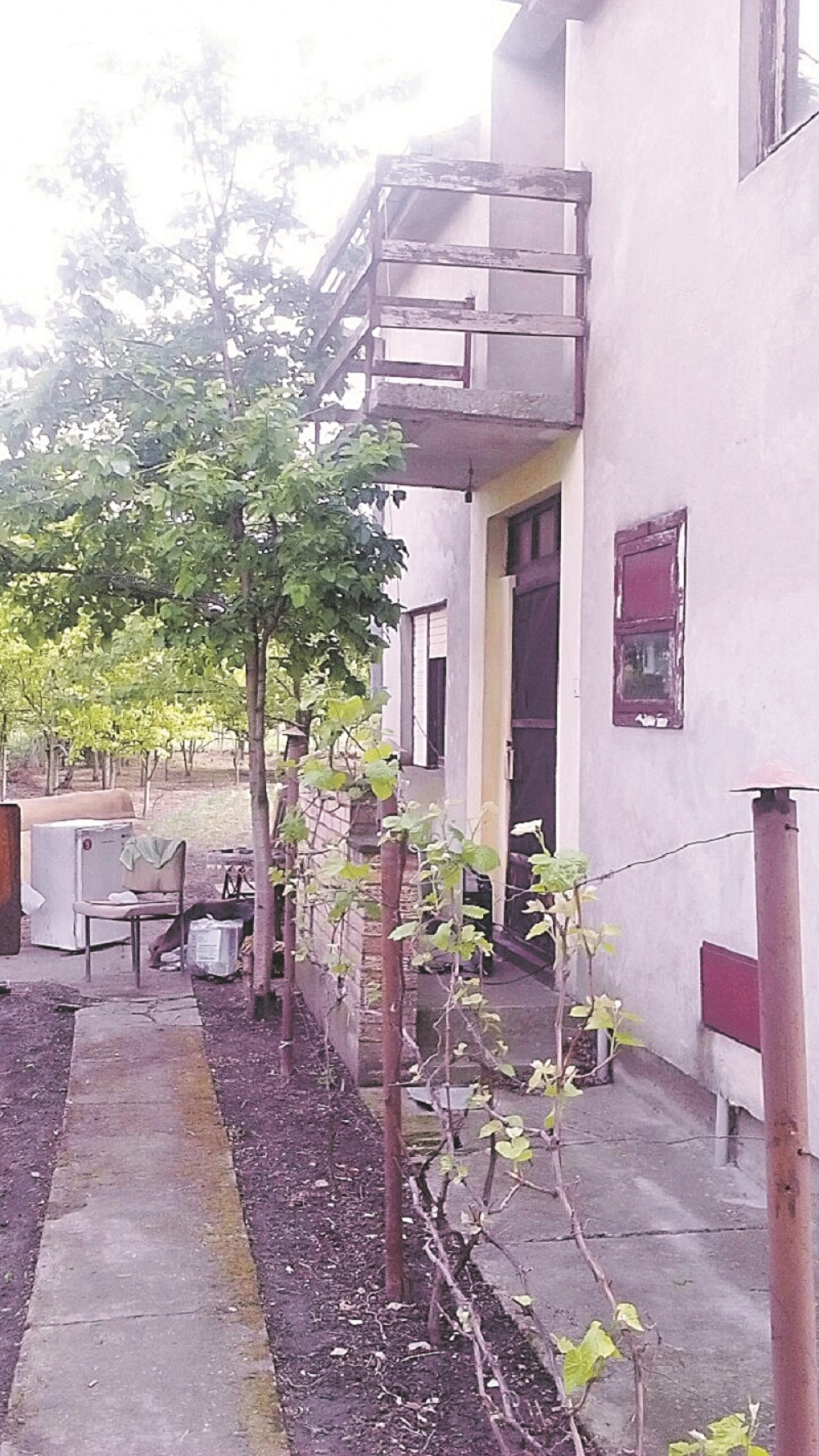 Komšinica progovorila o tragediji bračnog para kod Kikinde: Posvađao se sa ženom Stanom pa sve otišlo dođavola...