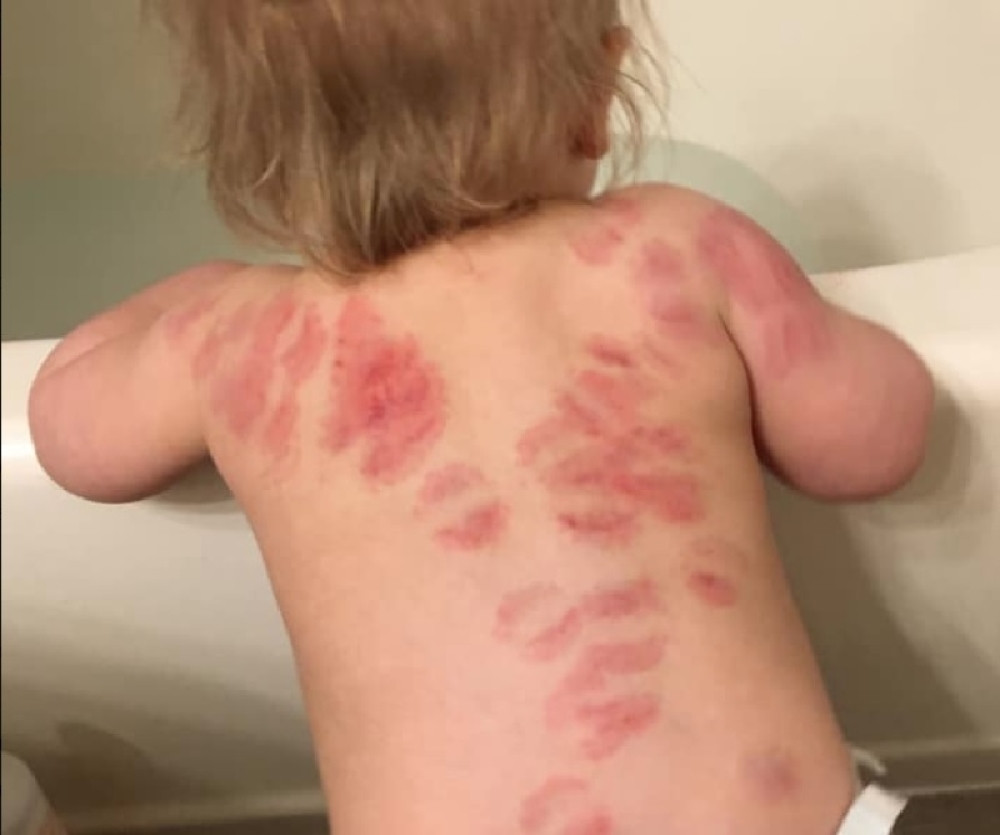 Vratila ćerku iz jaslica, pa briznula u plač kada je otkrila šta su vaspitačice probale da zataškaju (FOTO, VIDEO)