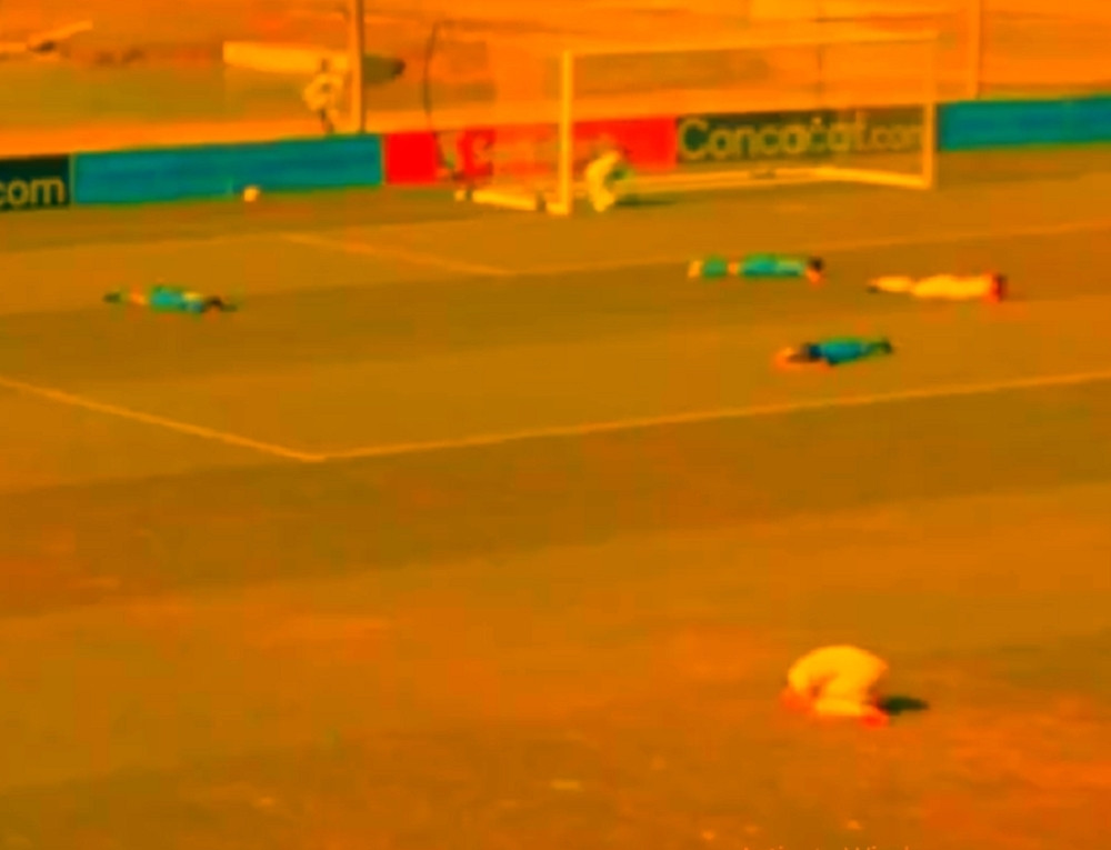 Upad na stadion, odmah iznad glava prisutnih, IGRAČI POLEGALI NA TEREN U POKUŠAJU DA SE SPASU (VIDEO)