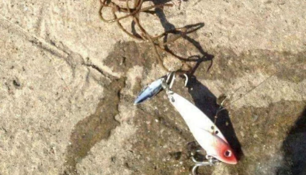 Pecao je na reci u Srbiji, a zbog onoga što je izvukao iz vode kolege su mu rekle da ODMAH ZOVE POLICIJU (FOTO)