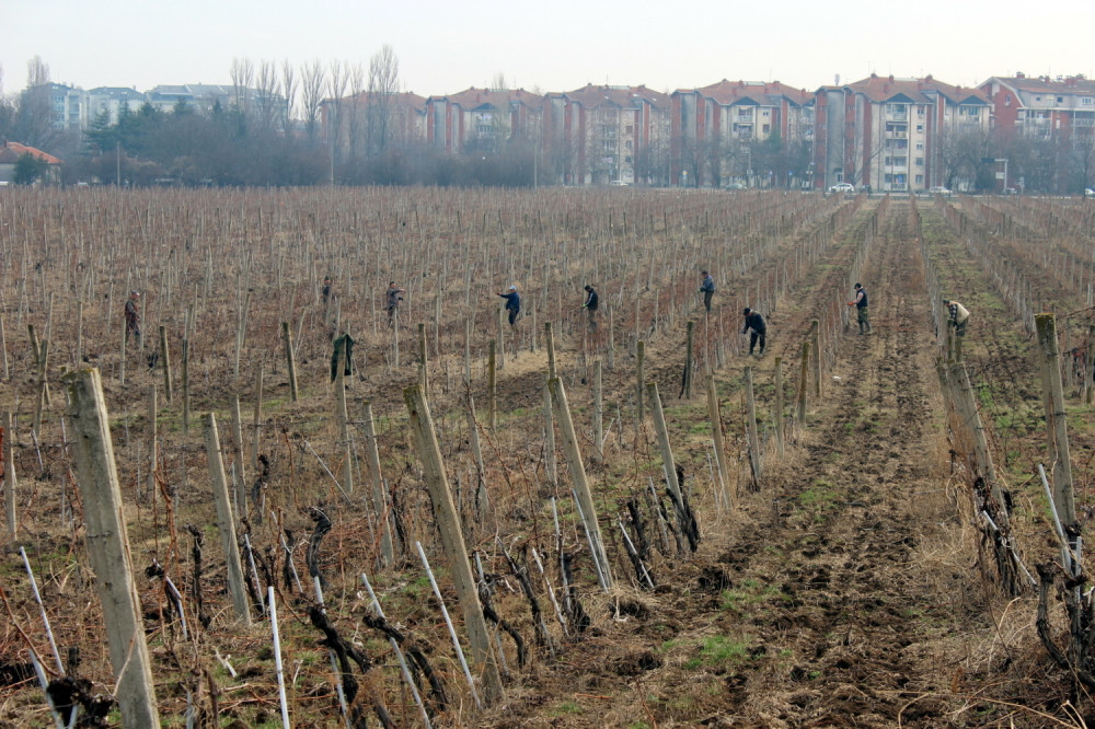 Prišli mu migranti, zatražili malo vode, a onda je jedan od njih potegao nož i izvadio zeleni konopac...