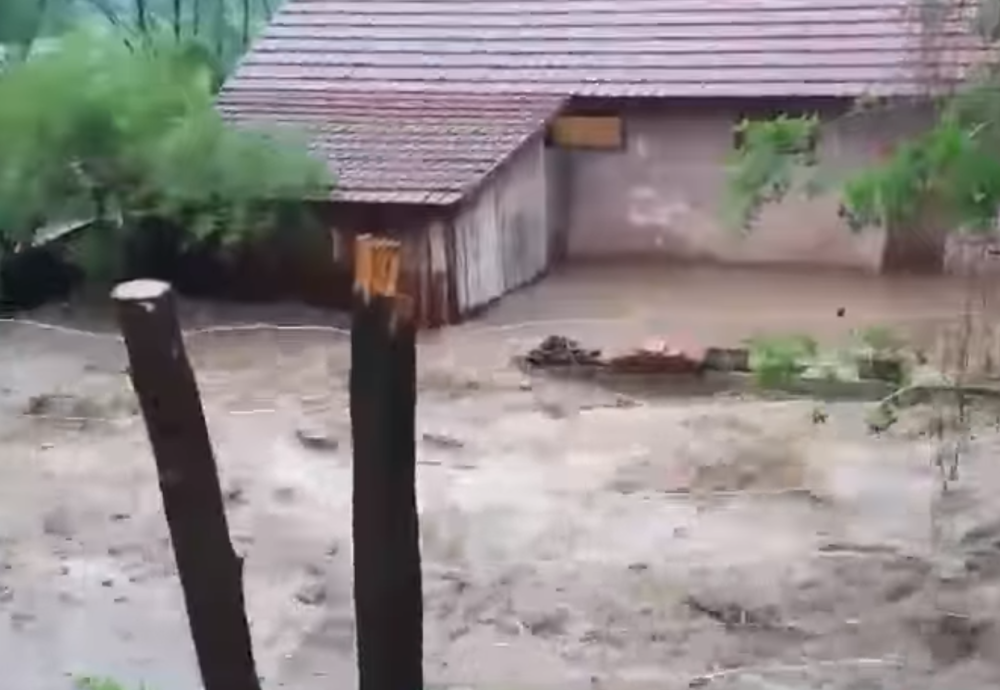 DEČAK (6) UPAO U NABUJALI POTOK KOD ŽEPČA! Majka skočila za njim!