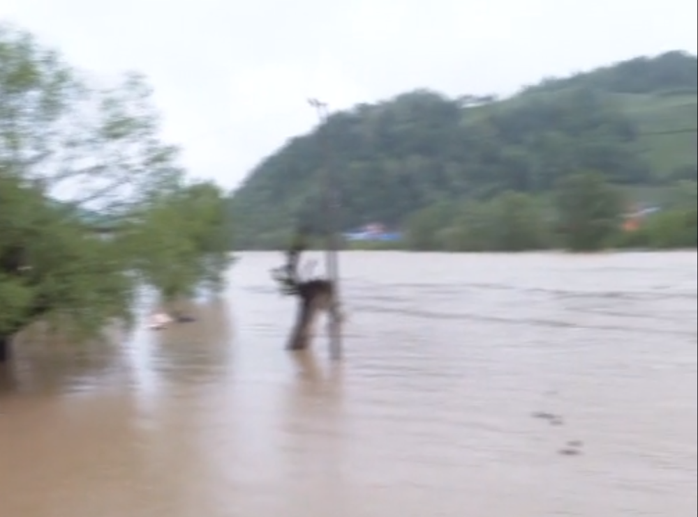 Dignuta Civilna zaštita, Vrbas polako raste