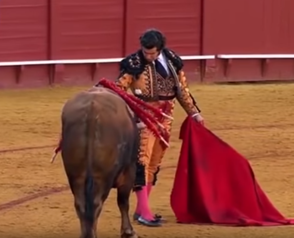 Matador šokirao javnost svojim potezom, poznati glumac se oglasio povodom ovih užasnih scena! (VIDEO)