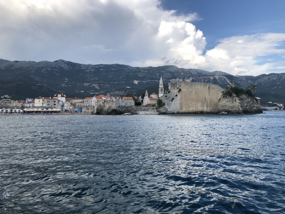 Nemački naučnici pokrenuli istragu u Crnoj Gori, Jadran krije životinju koja melje koronavirus!